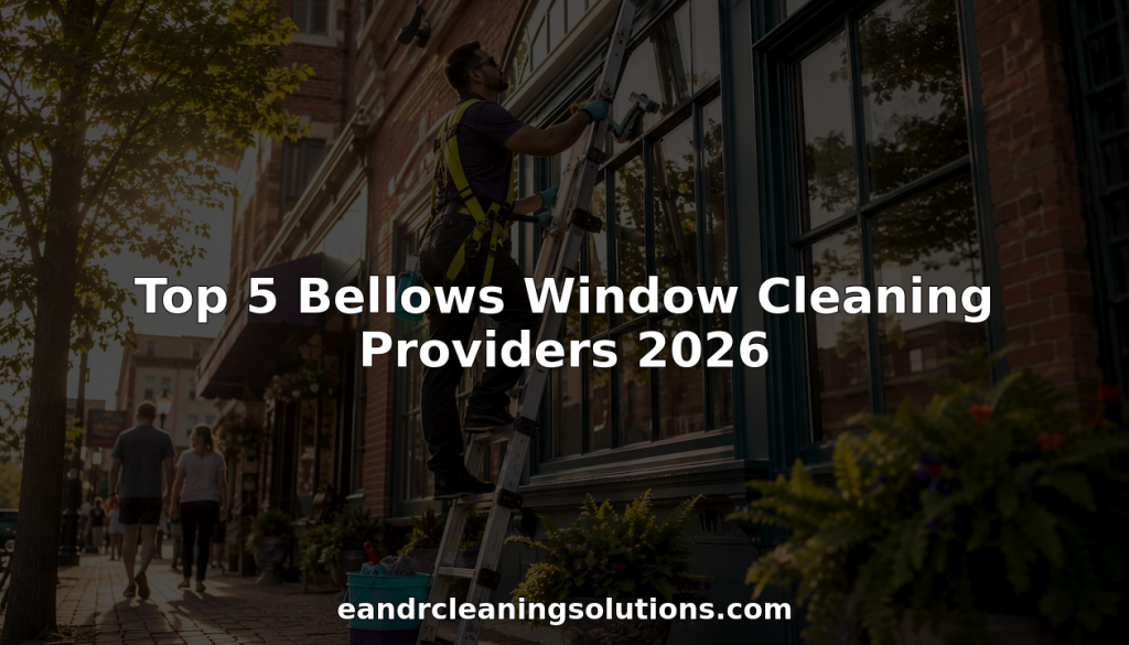 Window cleaning professional cleaning bellows windows outdoors