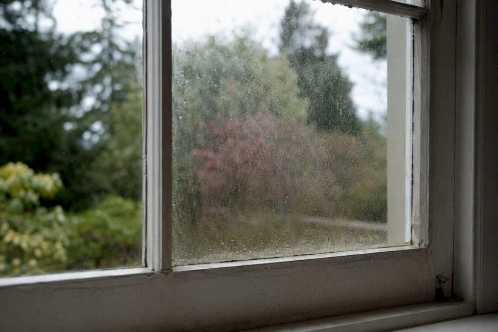 Close-up of residential window with seasonal dirt buildup