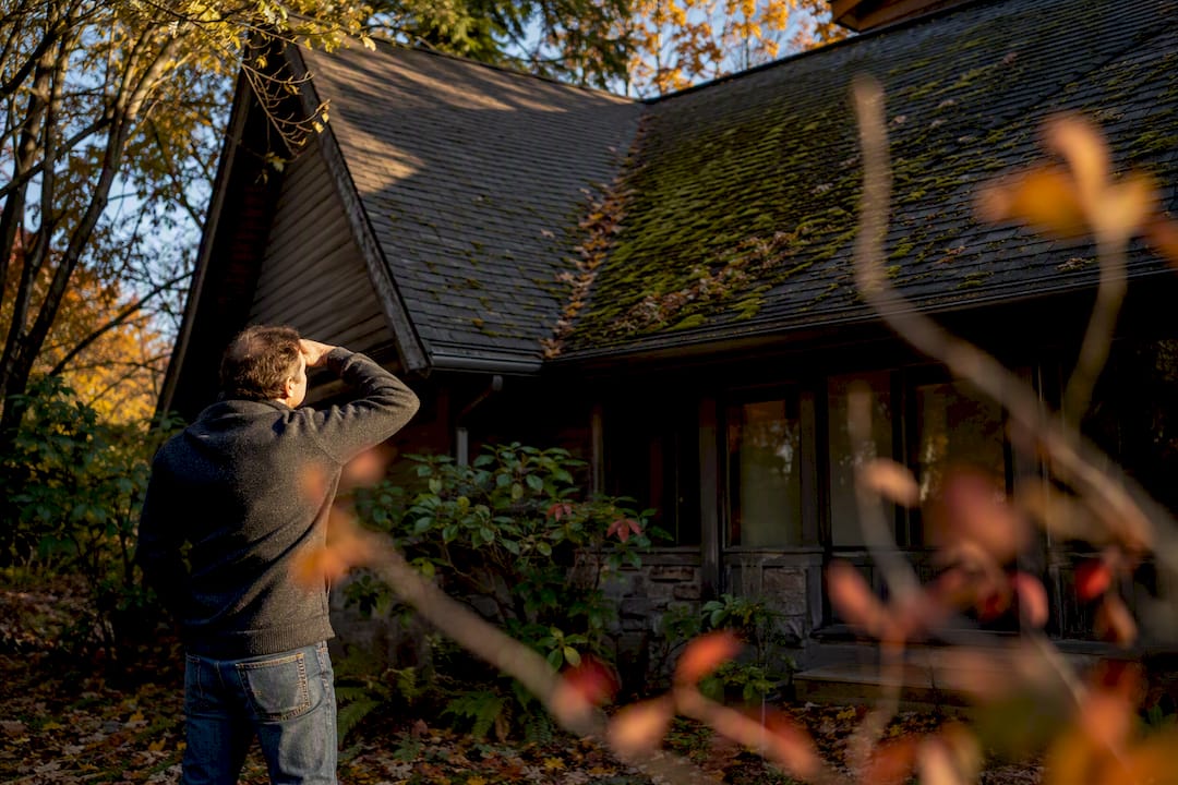 Homeowner inspecting roof for moss spots