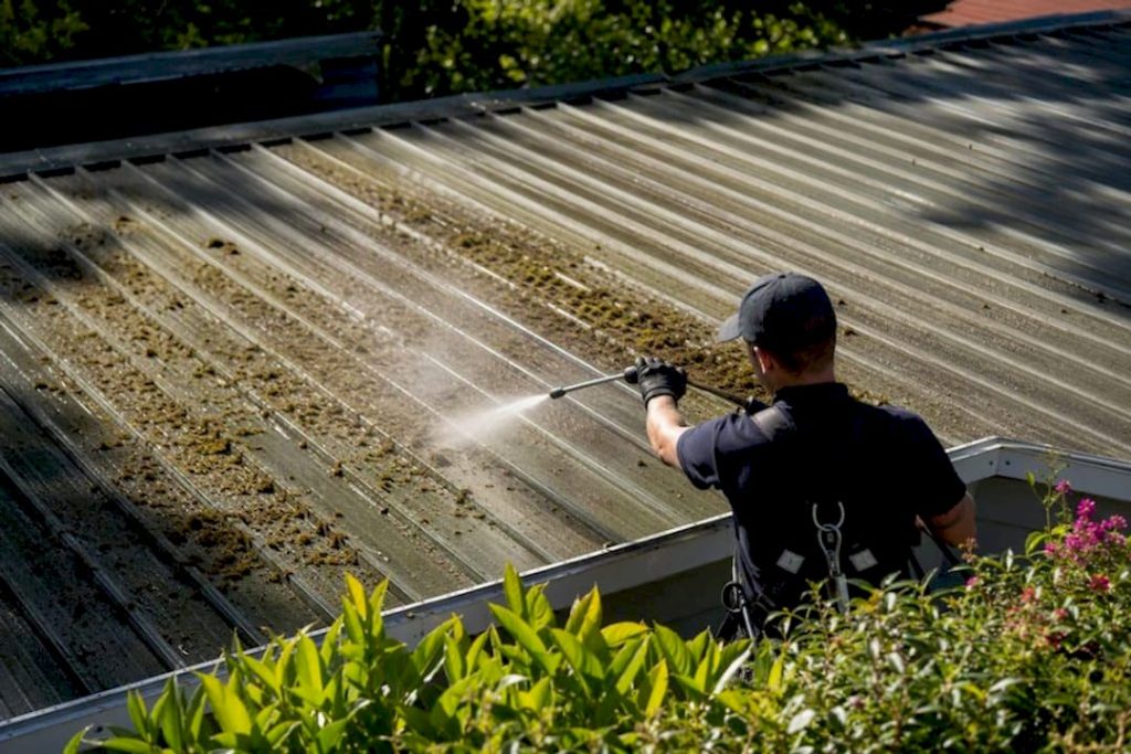 Technician spaying moss removal solution on roof