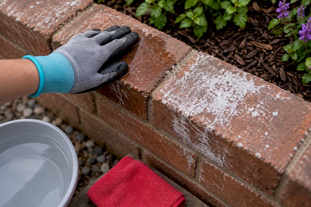 Wet and dry brick showing efflorescence response