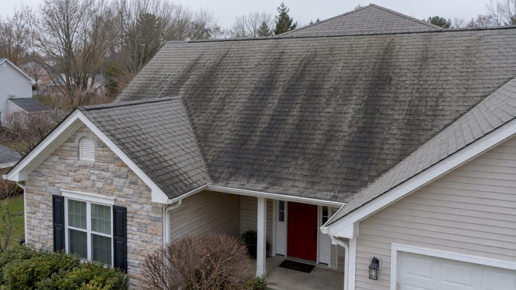 Dark algae streaks across asphalt roof shingles