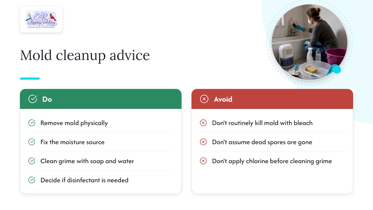 Does bleach fix mold? — overview diagram